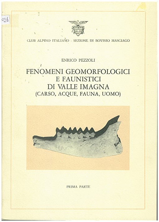 Copertina di Fenomeni geomorfologici e faunistici di Valle Imagna