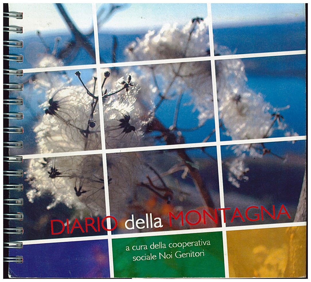 Copertina di Diario Della Montagna (2012)