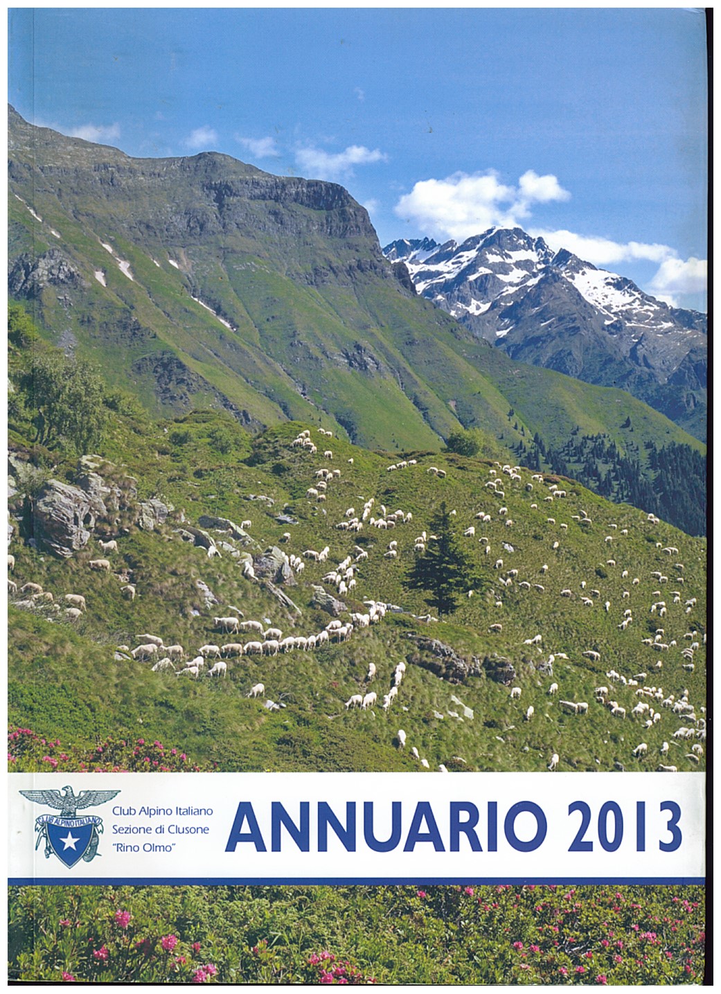 Copertina di Annuario CAI Clusone (2013)