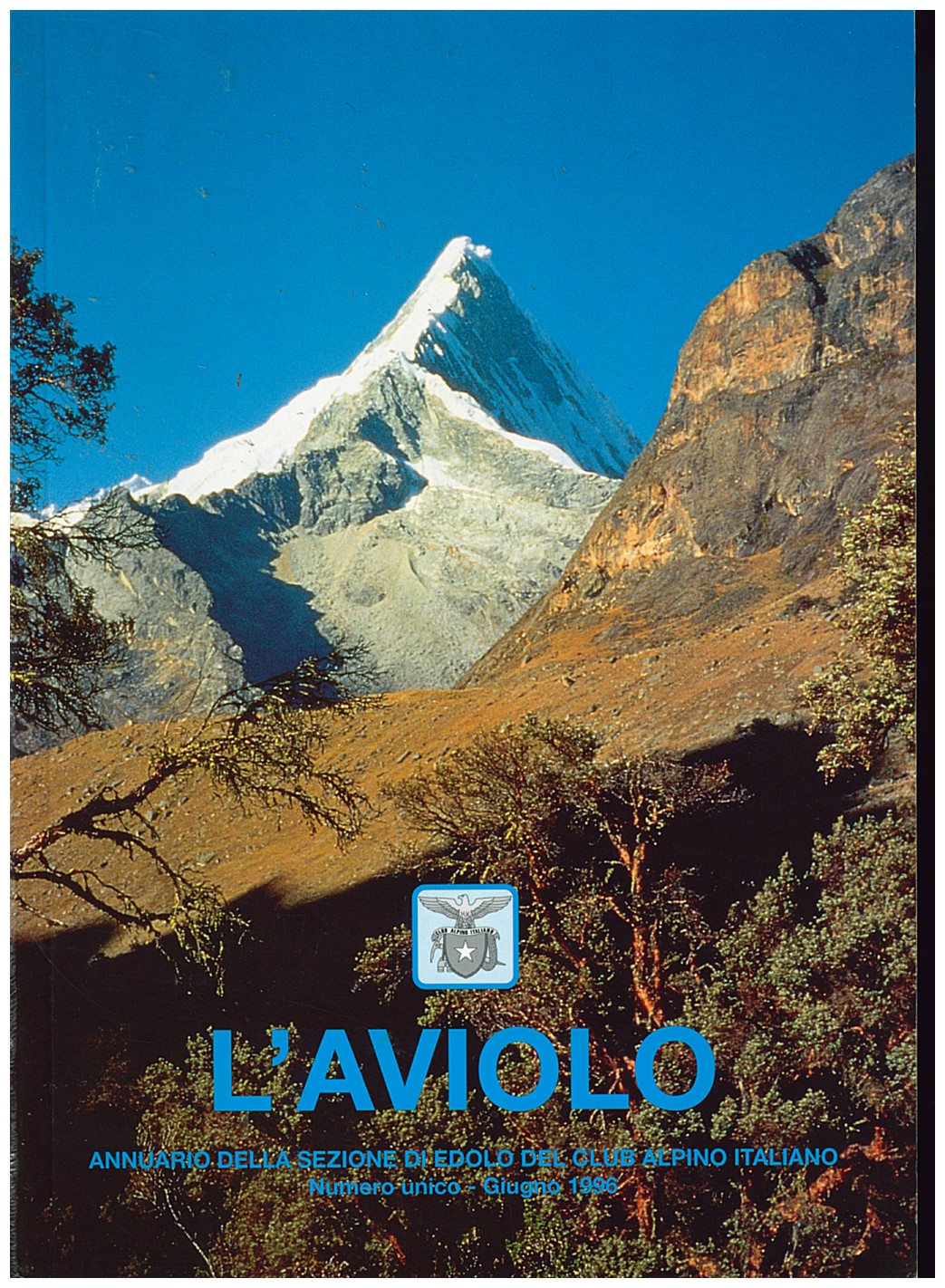 Copertina di L'Aviolo - Annuario CAI Edolo (1996)