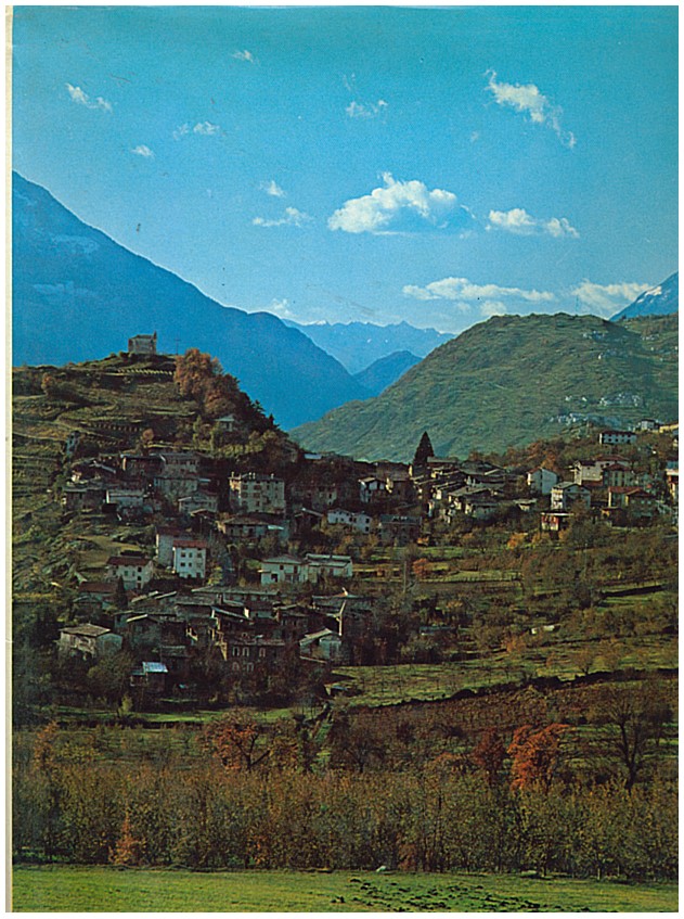 Copertina di L'ambiente naturale e umano della provincia di Sondrio
