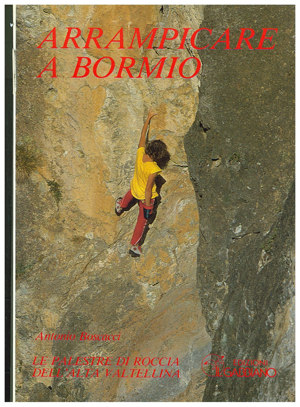 Copertina di ARRAMPICARE A BORMIO
