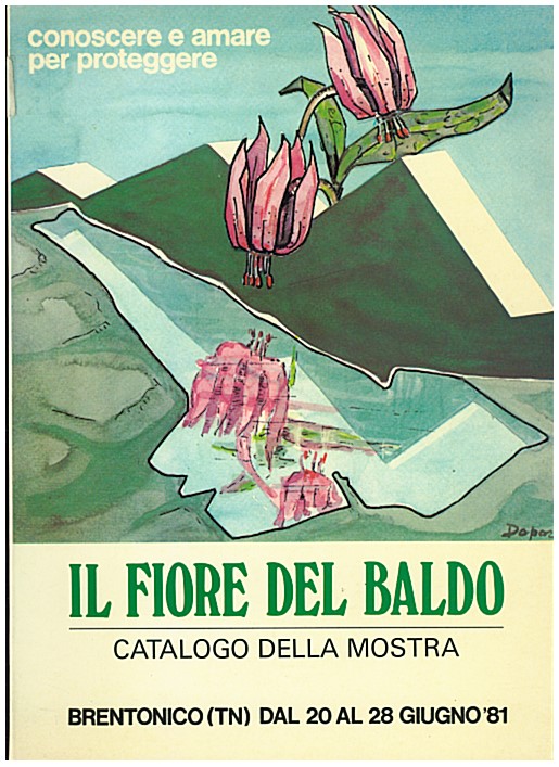 Copertina di Il Fiore del Baldo