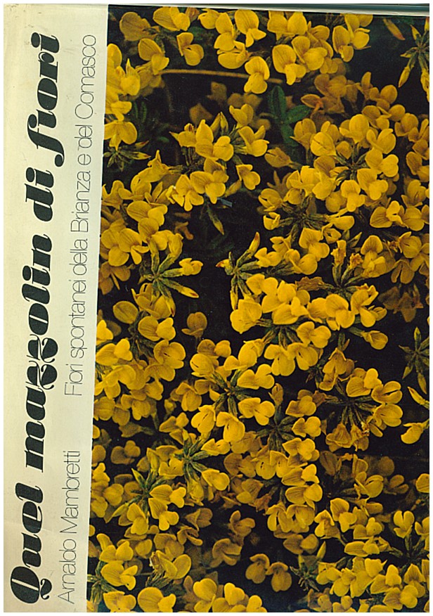 Copertina di Flora nel comasco - Quel mazzolin di fior