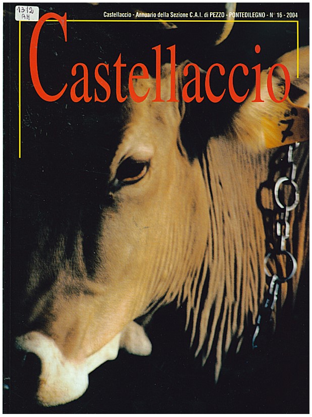 Copertina di Castellaccio sezione CAI di Pezzo n. 16