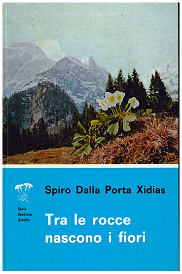 Copertina di Tra le rocce nascono i fiori