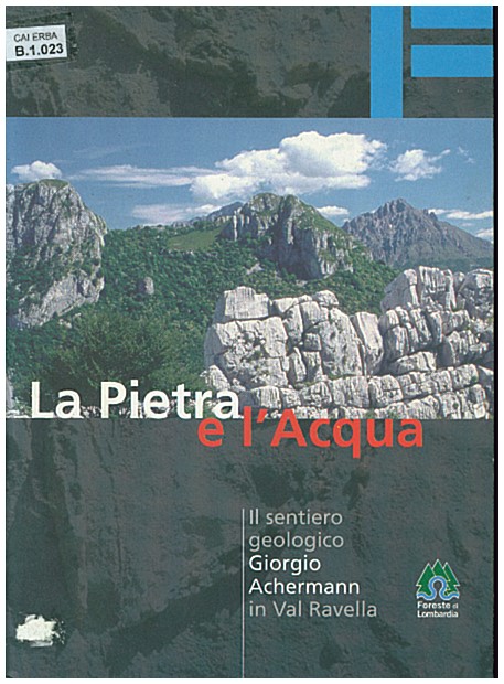 Copertina di La pietra dell'acqua