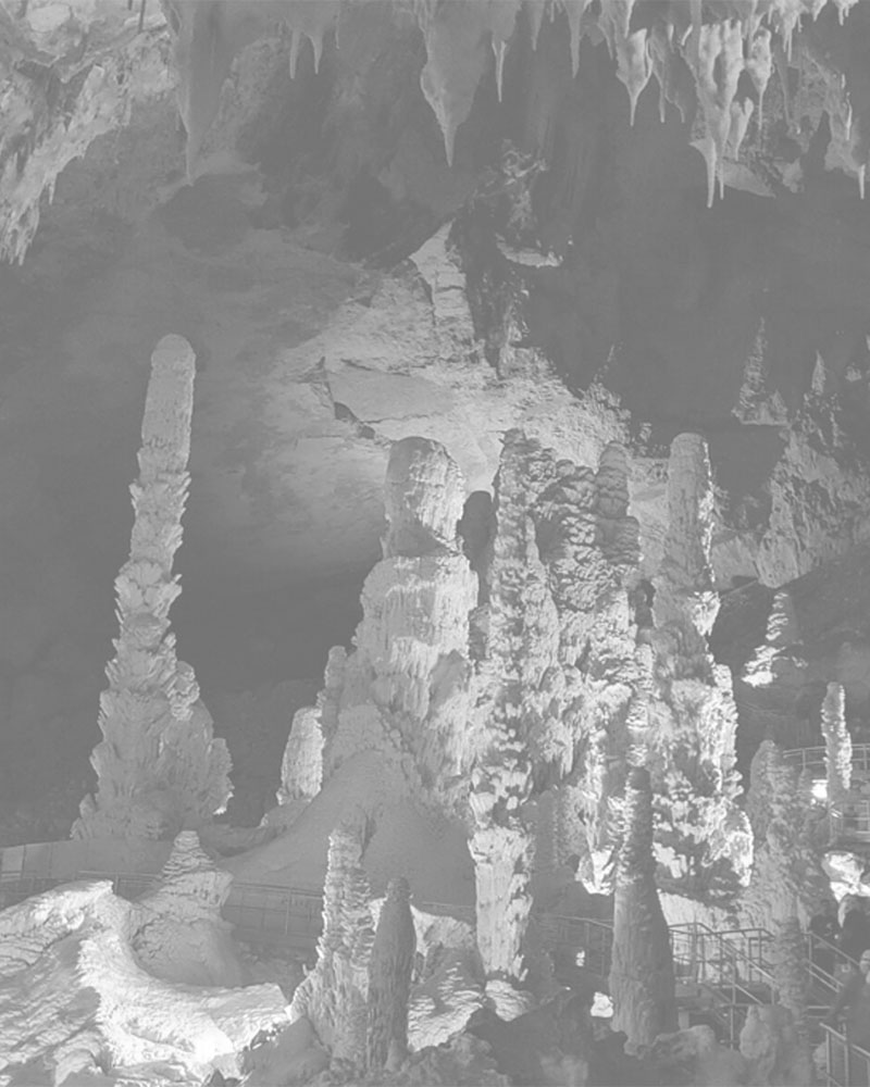 Erba in Grotta