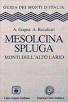 Copertina di Mesolcina Spluga