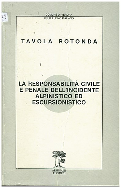 Copertina di La responsabilità civile e penale dell'incidente