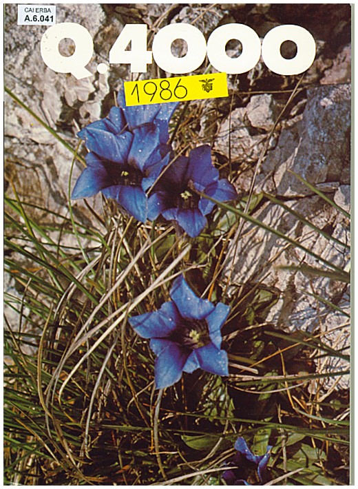 Copertina di Q4000 - 1986