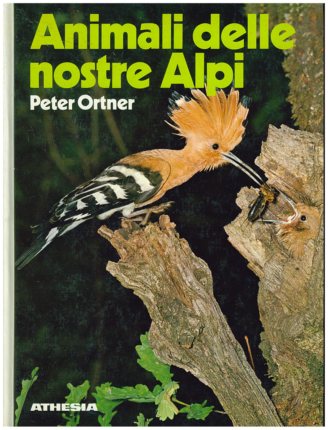 Copertina di Animali delle Nostre Alpi