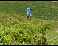 dopo il rifugio Sommafiume tra i rododendri