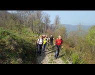 IMG-20170409-WA0008