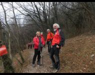 INel bosco