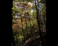 18 verso la bocchetta di Lezzeno