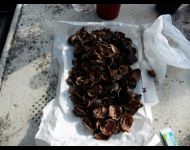 15 che gustosa scorpacciata