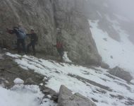 6 corda fissa