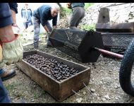 17 invece ancora castagne