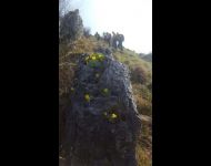 IMG-20170409-WA0001